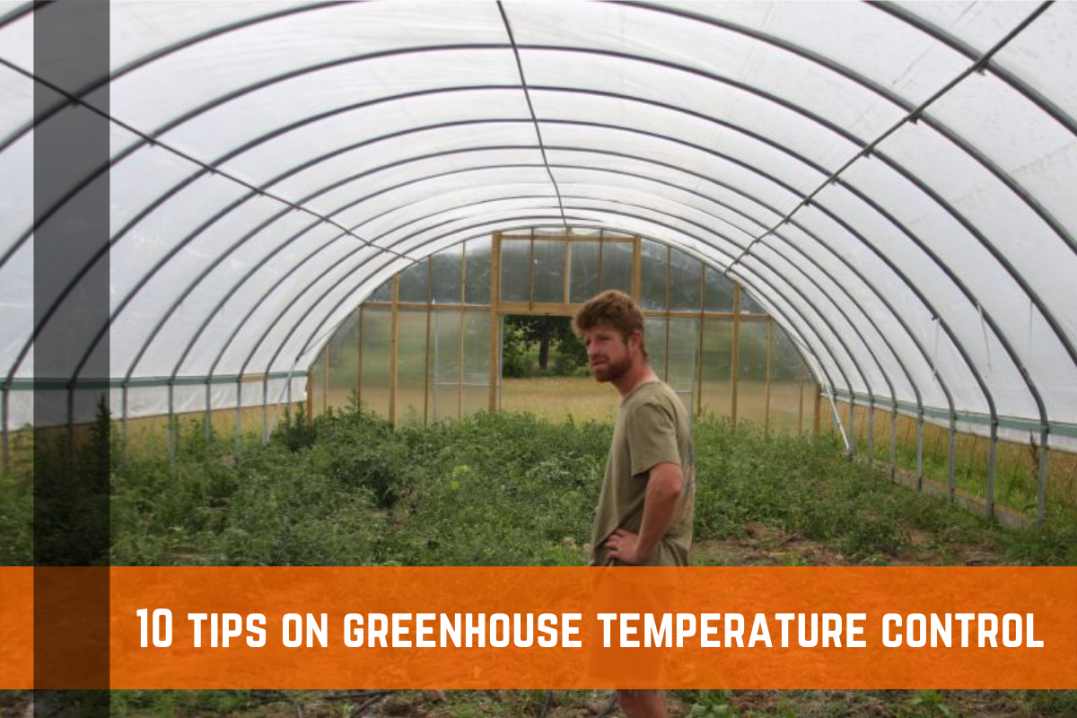 10 Tips on Greenhouse Temperature Control for Gardeners